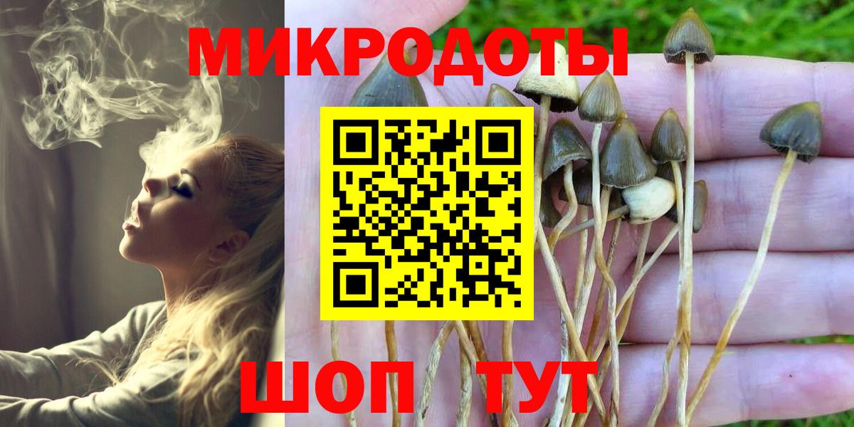 Можга  Псилоцибиновые грибы MAGIC MUSHROOMS  Вход с VPN 
