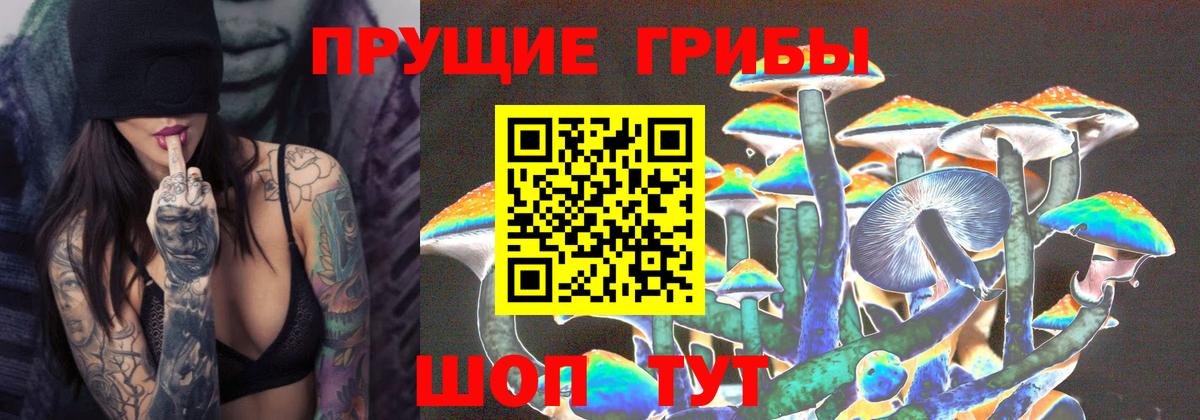 Псилоцибиновые грибы мухоморы Можга
