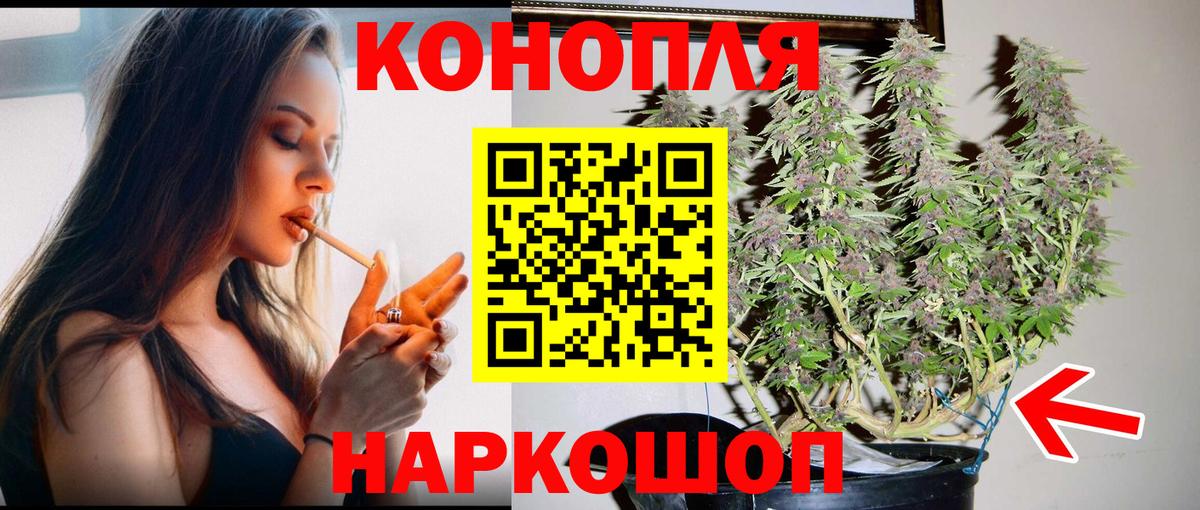 ГАШИШ Можга